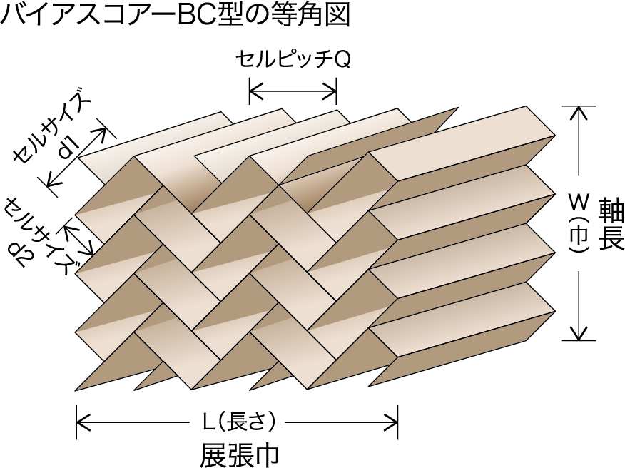 バイアスコアーBC型の等角図